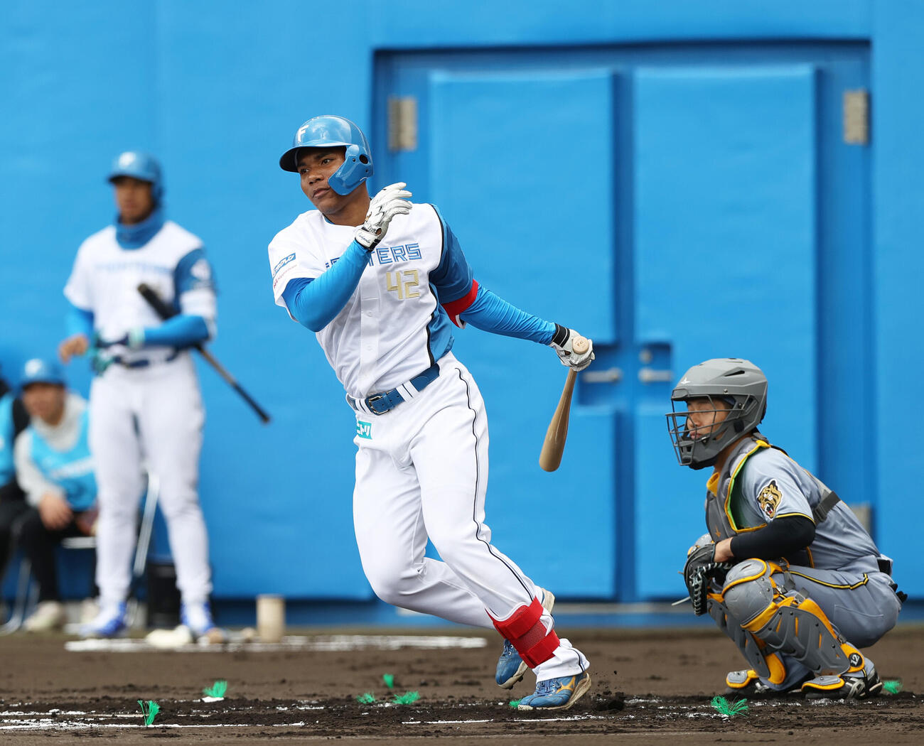 練習試合・日本ハム対阪神　1回裏日本ハム2死一塁、エドポロは遊内野安打を放つ（撮影・上山淳一）
