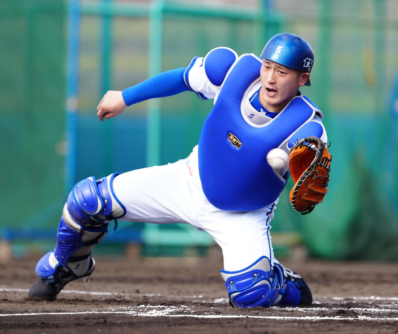 守備練習するDeNA松尾（2月3日撮影・鈴木みどり）