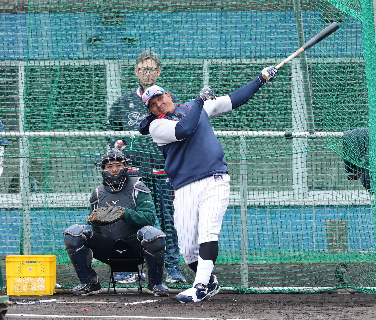 フリー打撃するヤクルトオスナ（撮影・鈴木正人）　