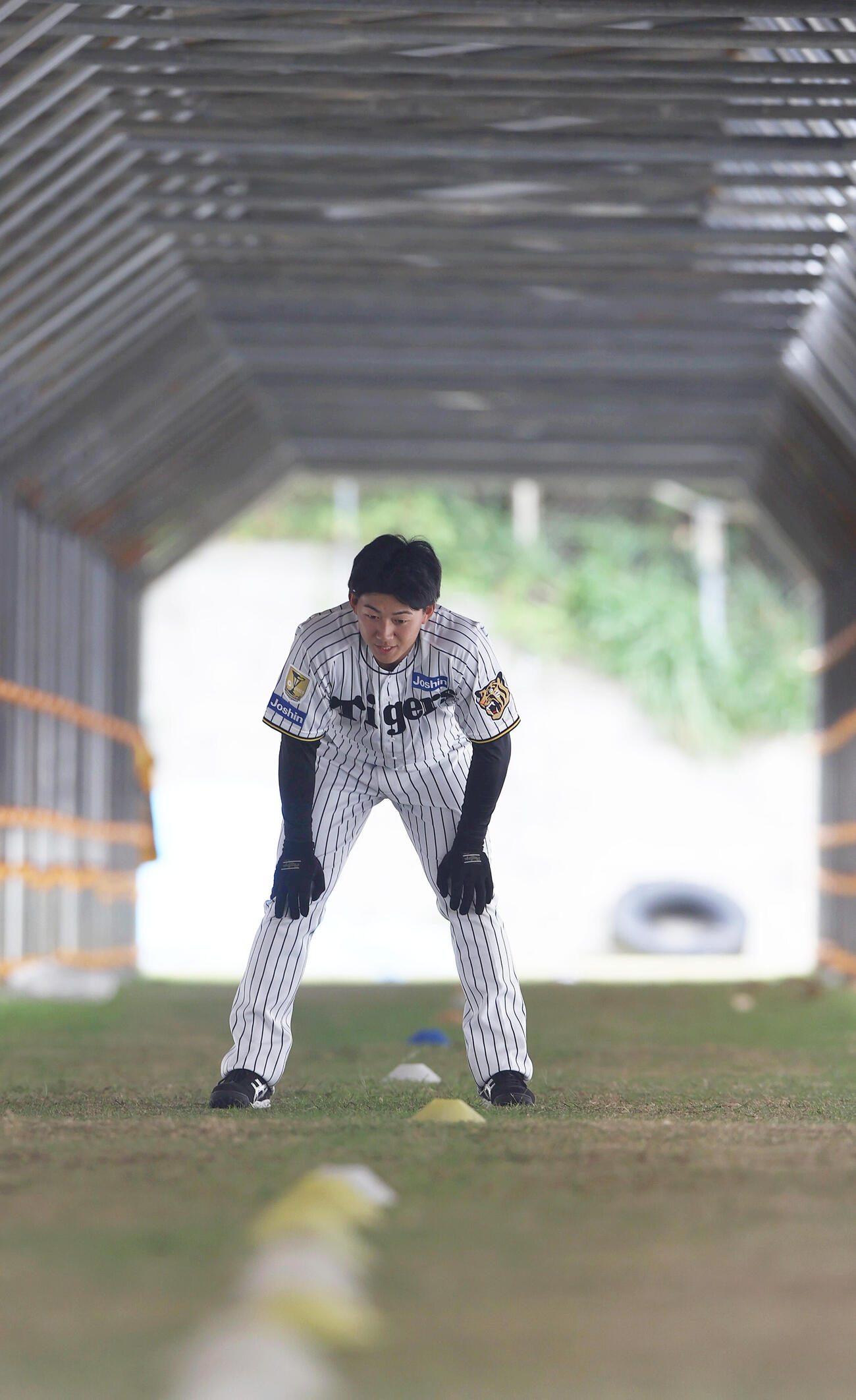 めんそー路でトレーニングする阪神立石（撮影・上山淳一）