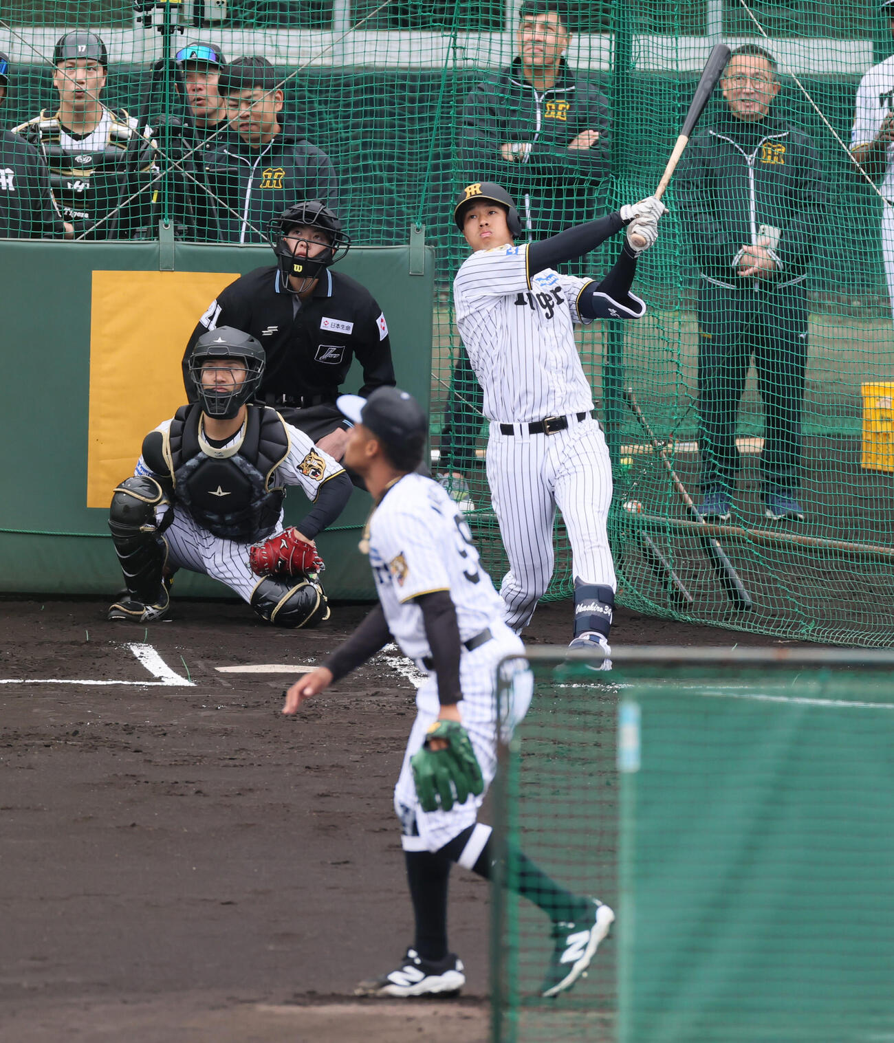 阪神岡城はライブBPでモレッタから右方向へ安打性の打球を放つ（撮影・加藤哉）
