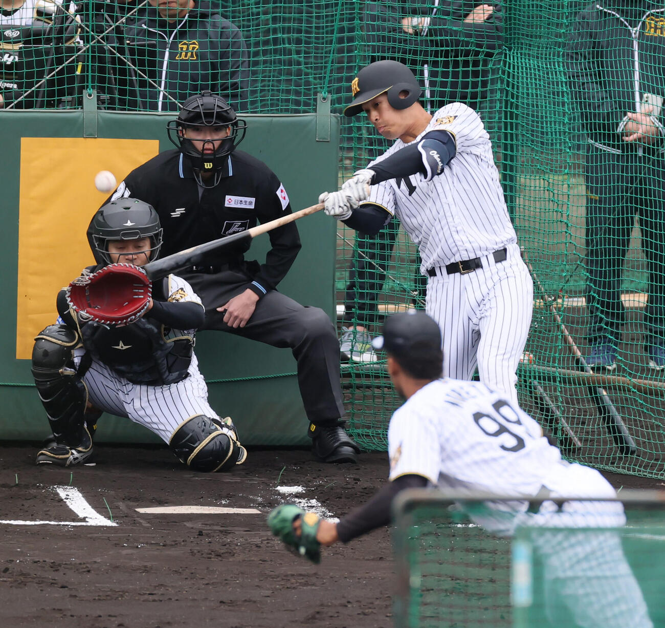 阪神岡城はライブBPでモレッタから右方向へ安打性の打球を放つ（撮影・加藤哉）