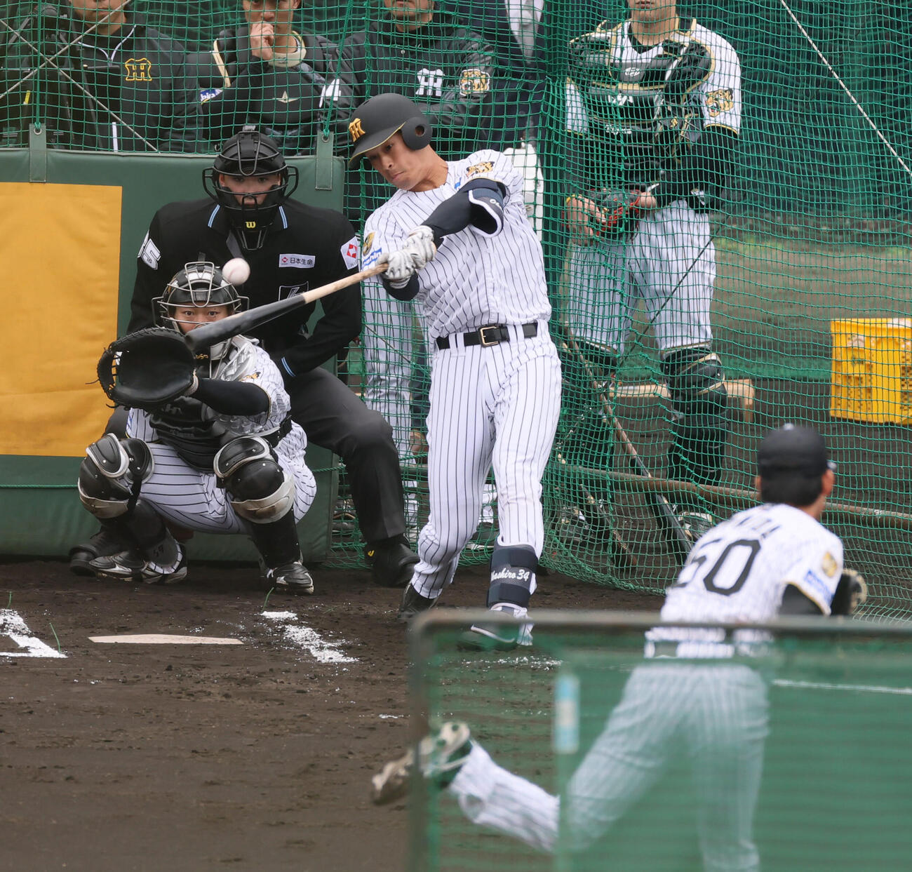 阪神岡城はライブBPで富田（右）と対戦（撮影・加藤哉）