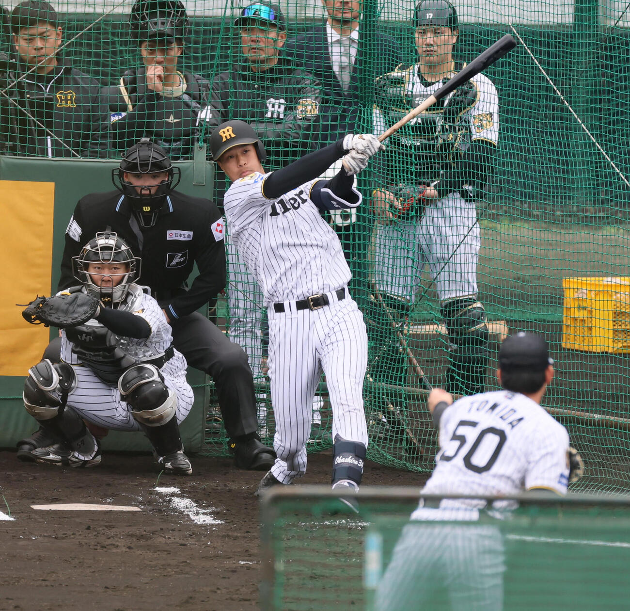 阪神岡城はライブBPで富田（右）と対戦（撮影・加藤哉）