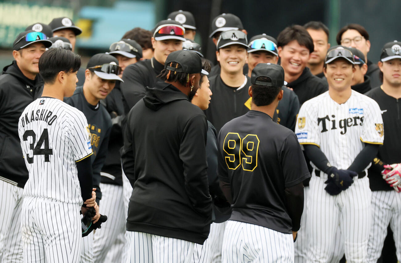 ナインを前に自己紹介する左から阪神岡城、ドリス、立石、モレッタ（撮影・加藤哉）