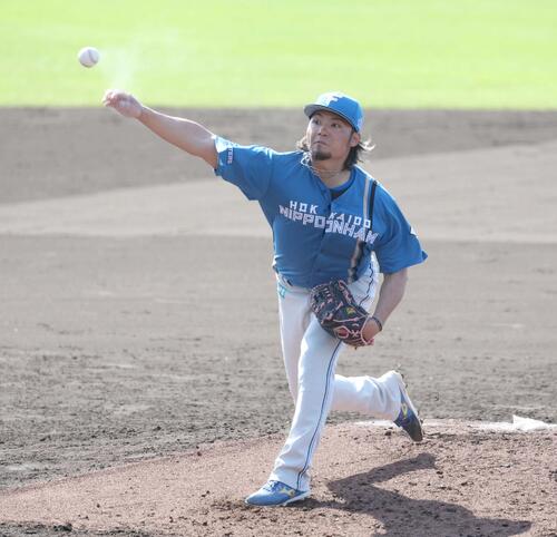 ライブ打撃で投球する日本ハム伊藤（撮影・黒川智章）