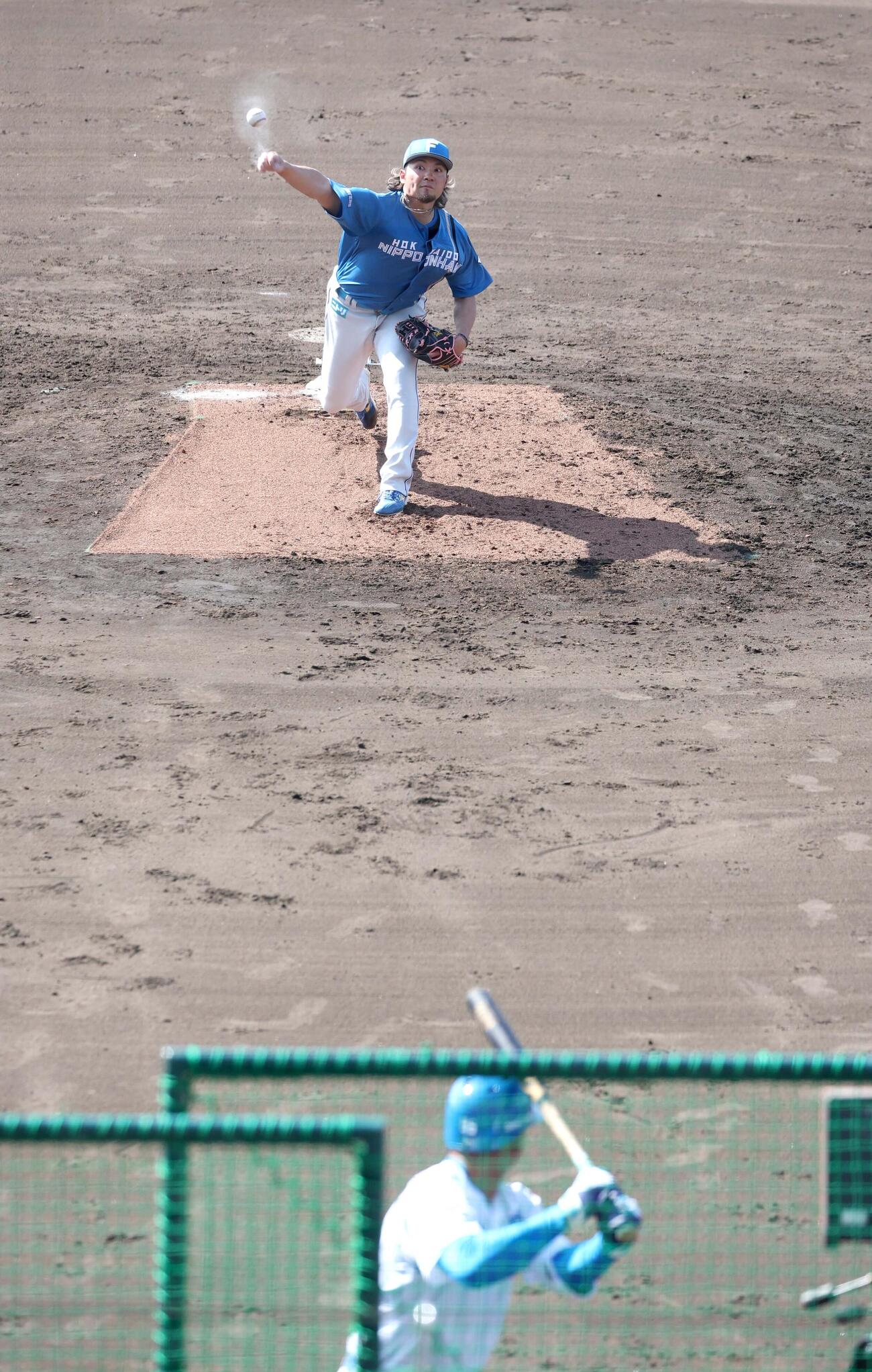 ライブ打撃で投球する日本ハム伊藤（撮影・黒川智章）