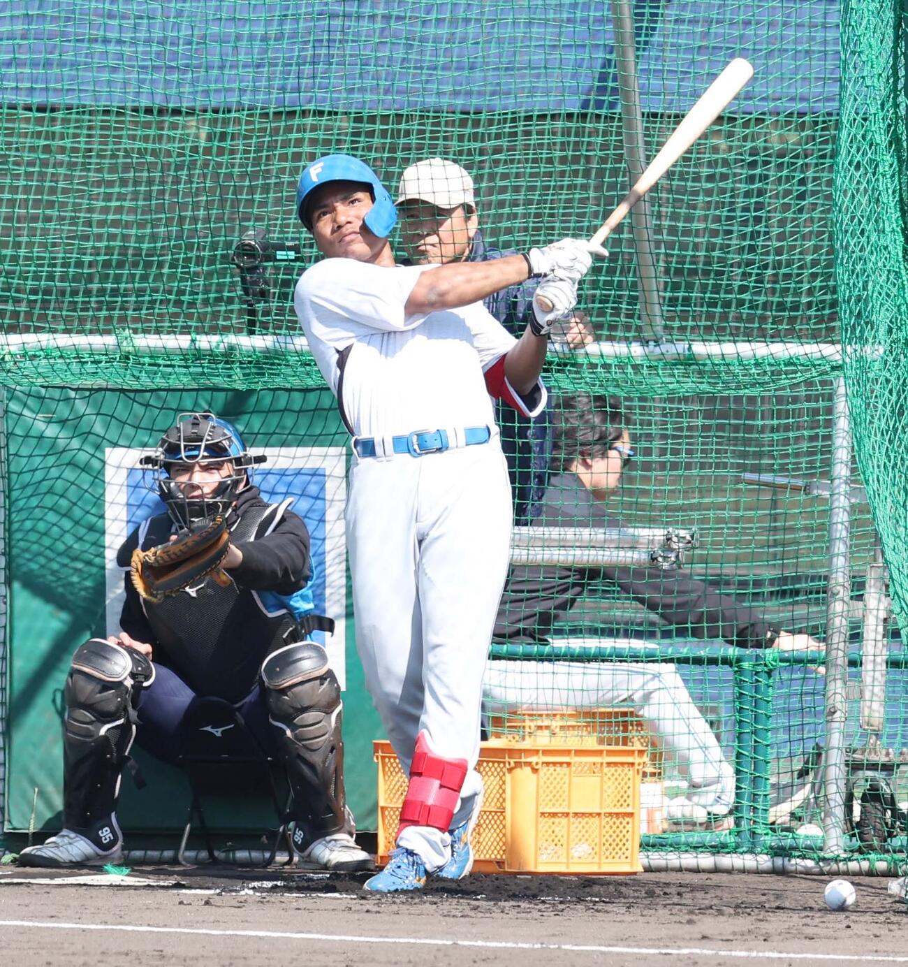 フリー打撃する日本ハムエドポロ（撮影・黒川智章）