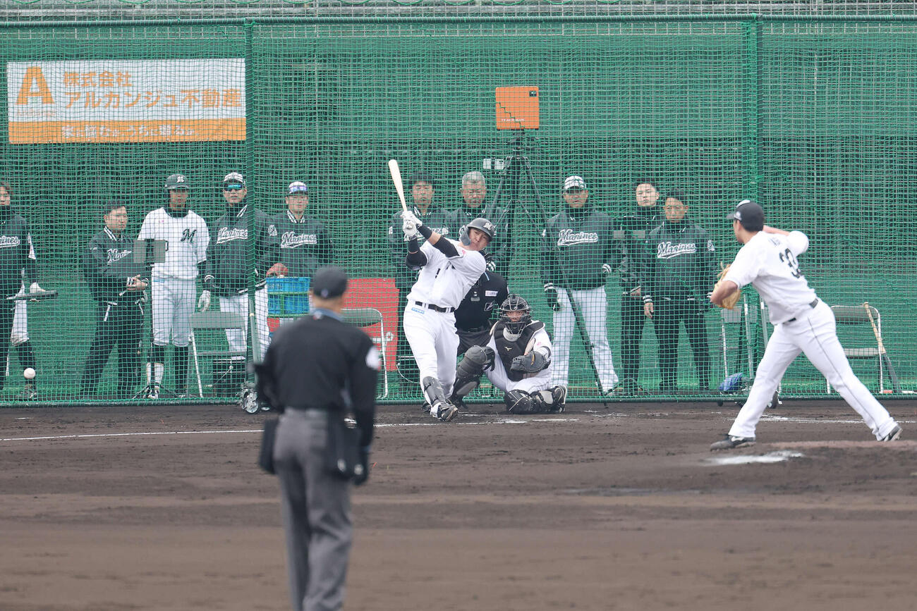 ライブBPで右前打を放つロッテ安田。投手八木（撮影・宮地輝）