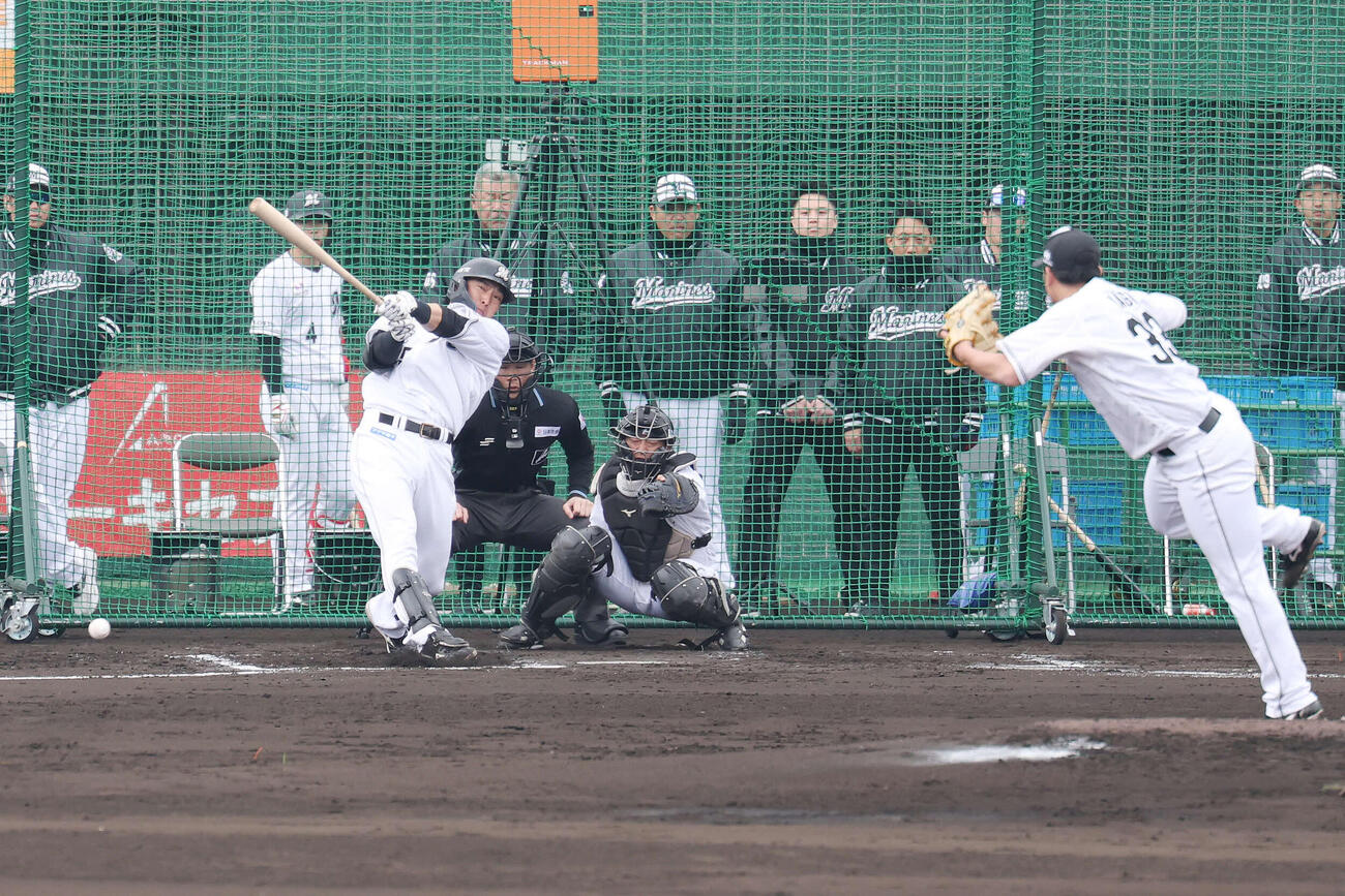 ライブBPで右前打を放つロッテ安田。投手八木（撮影・宮地輝）