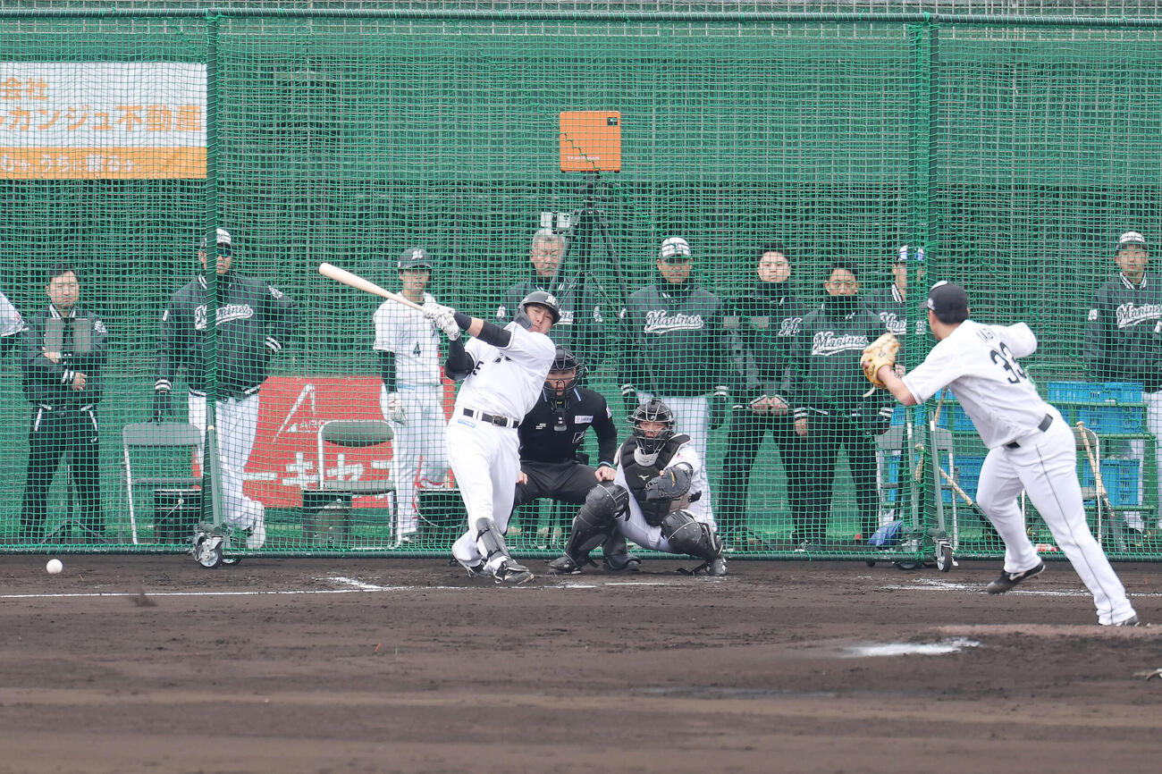 ライブBPで右前打を放つロッテ安田。投手八木（撮影・宮地輝）