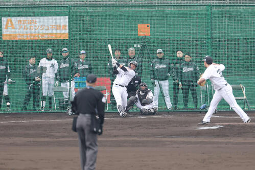 ロッテ】安田尚憲にサブロー監督「あの辺がちゃんと打ってくれたらいい
