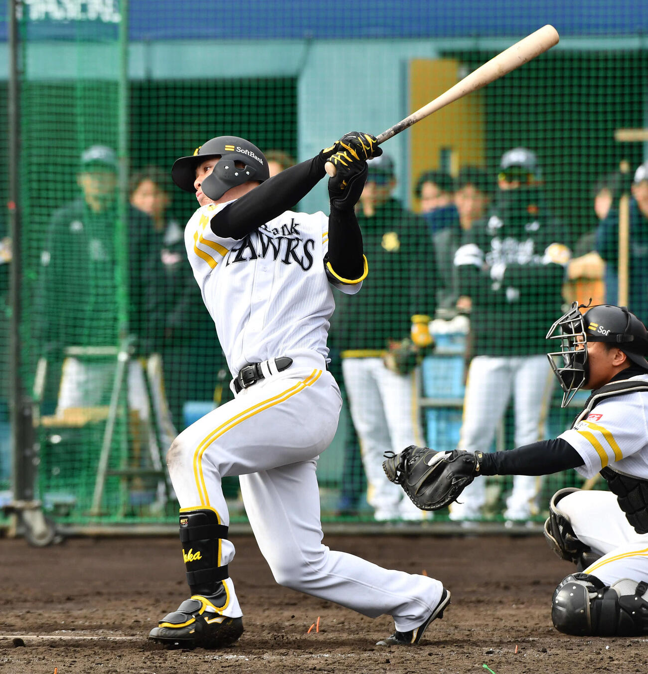ライブBPで中越えに打球を放つソフトバンク高橋（撮影・岩下翔太）