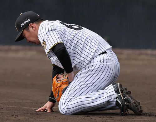 阪神紅白戦　3回裏紅組1死一、二塁、前川に右前打を許し、本塁後方のカバーに走った石井は痛みでグラウンドにしゃがみ込む（撮影・西尾就之）