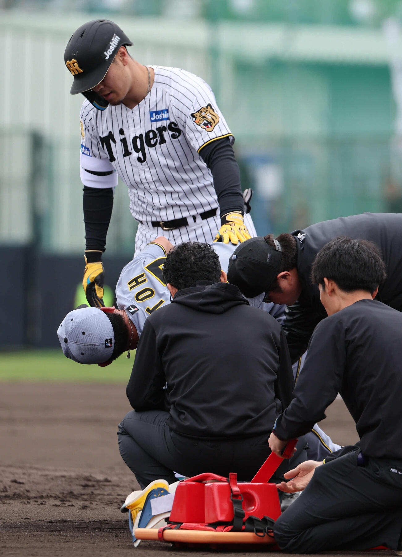 阪神紅白戦　1回裏白組2死一塁、自らの打球が当たった伊藤将を気遣う佐藤（撮影・西尾就之）