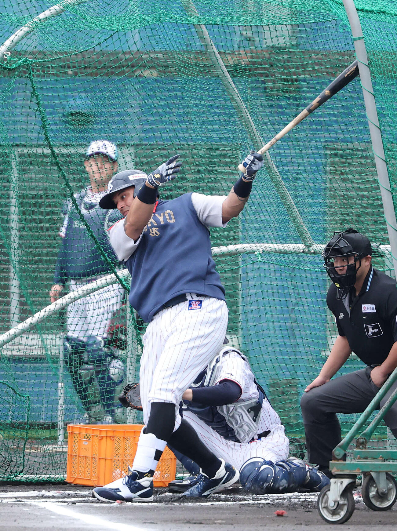 ライブBPに臨むヤクルトオスナ（撮影・鈴木正人）　