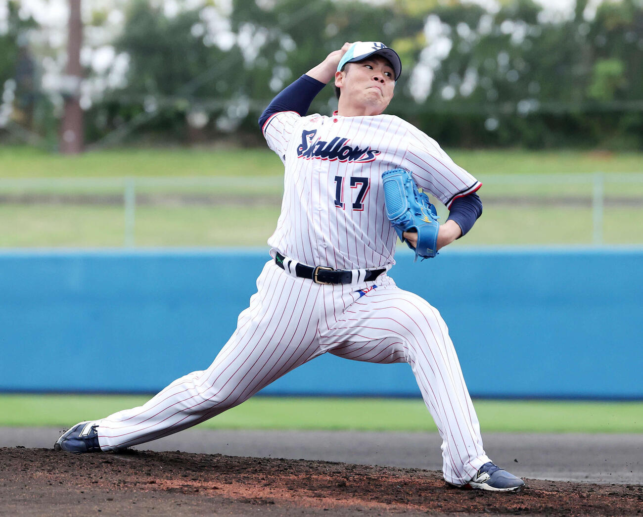 ライブBPに登板したヤクルト清水（撮影・鈴木正人）　