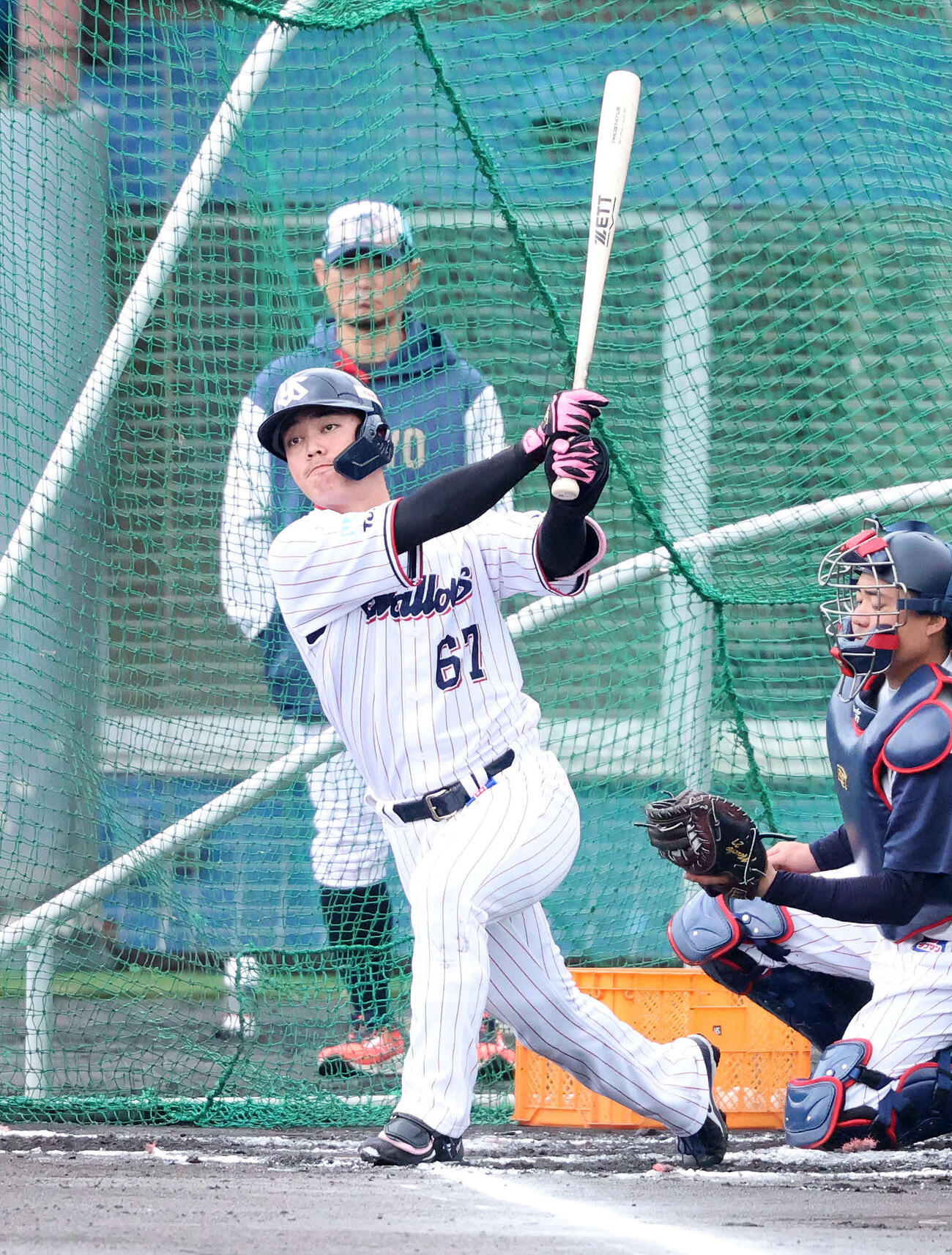 ライブBPに臨むヤクルト佐藤（撮影・鈴木正人）　