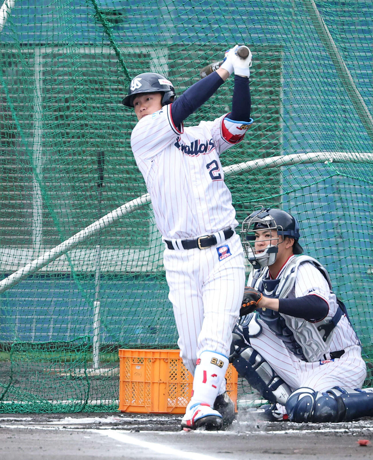 ライブBPに臨むヤクルト古賀（撮影・鈴木正人）　