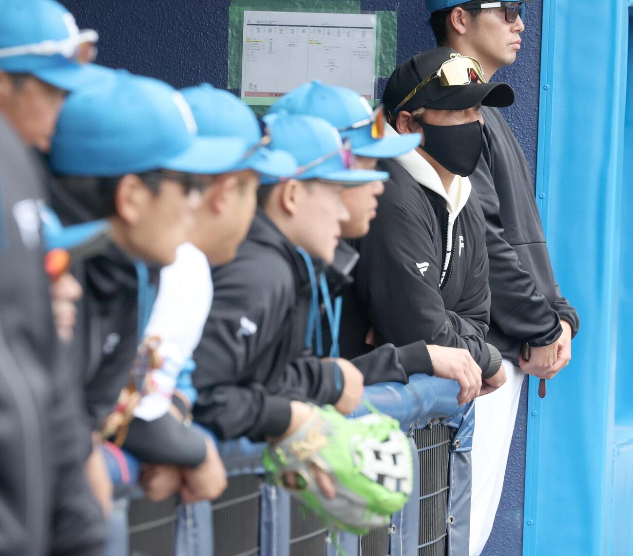 日本ハム対楽天　試合を見つめる新庄監督（撮影・黒川智章）