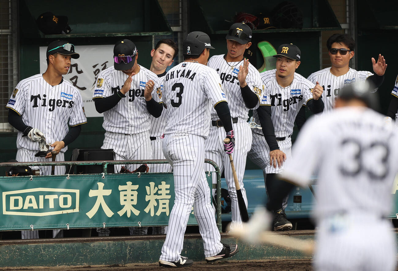 阪神紅白戦　2回裏白組無死、大山（手前）は左越え本塁打を放ち祝福を受ける（撮影・上山淳一）