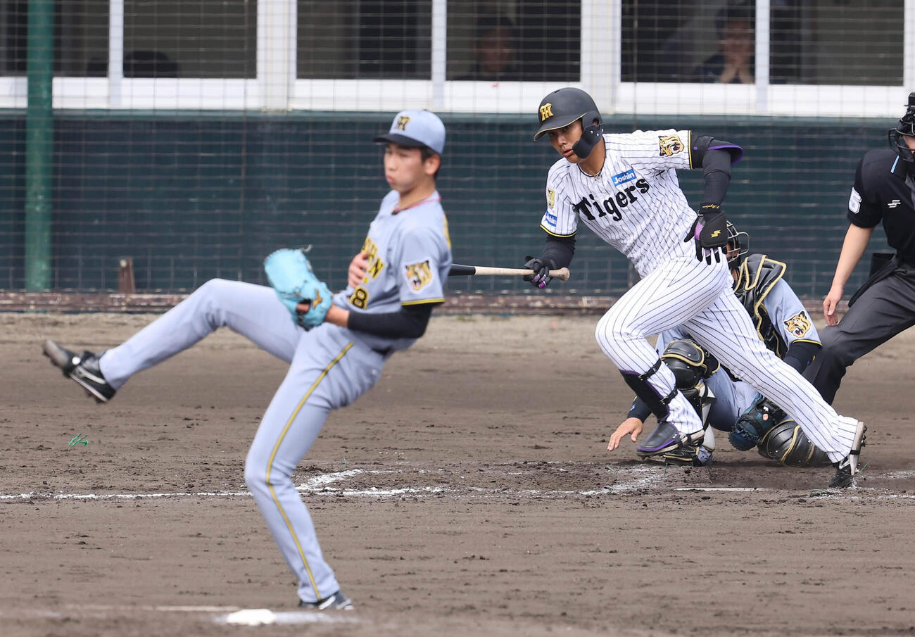 紅組対白組　4回裏白組無死、西純は今朝丸から安打を放つ（撮影・上田博志）