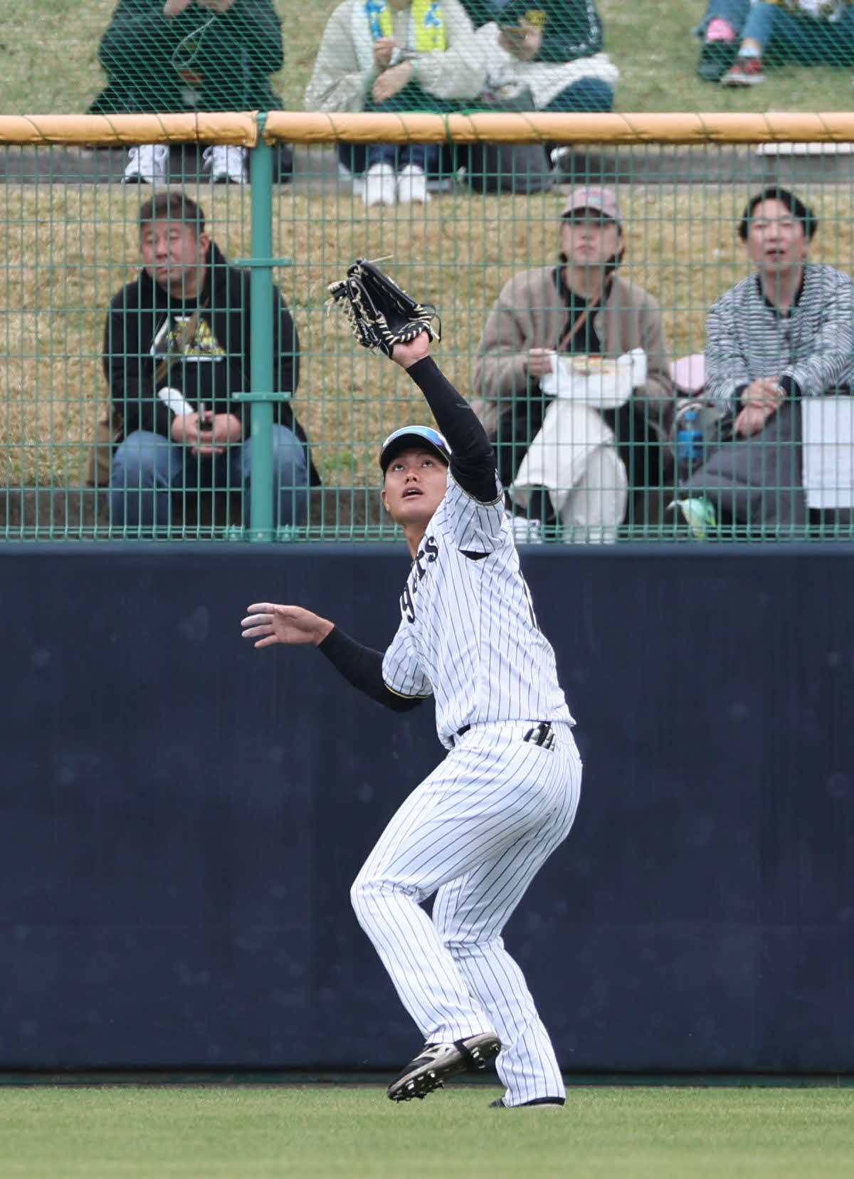 阪神紅白戦　4回表紅組1死、梅野の打球を処理する右翼手の西純（撮影・西尾就之）