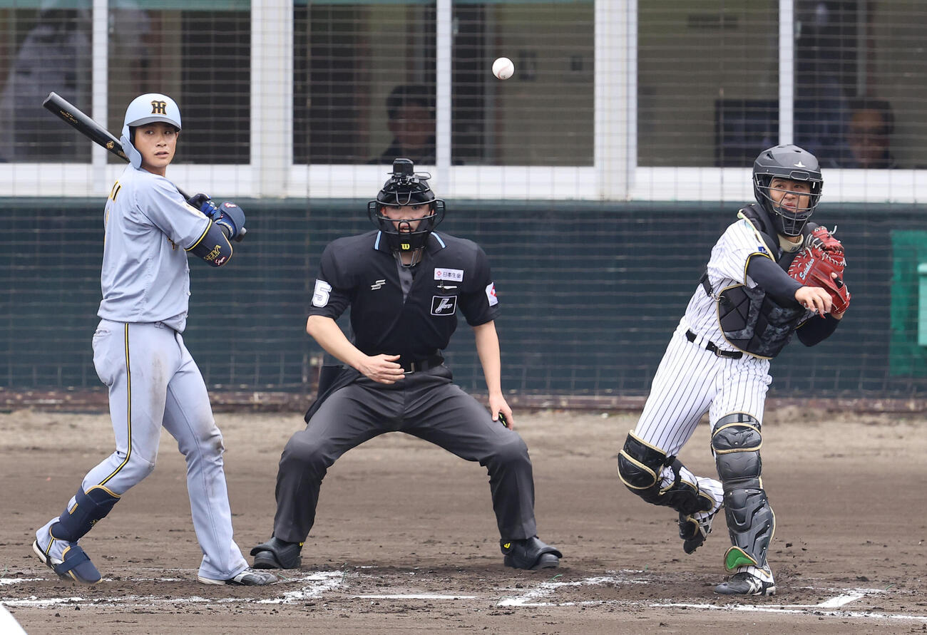 紅組対白組　2回表紅組2死一塁、元山の二盗を阻止する坂本（撮影・上田博志）