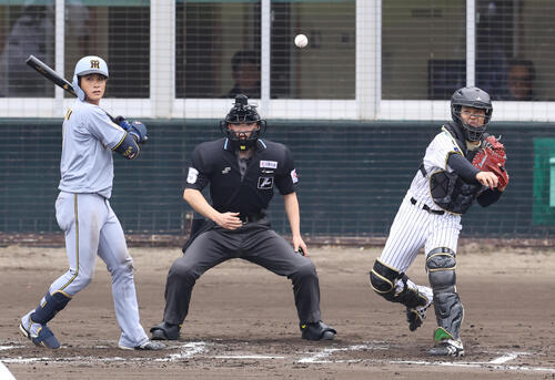 阪神】坂本誠志郎が米の人気メーカーと捕手用具契約 NPBで初「フィット