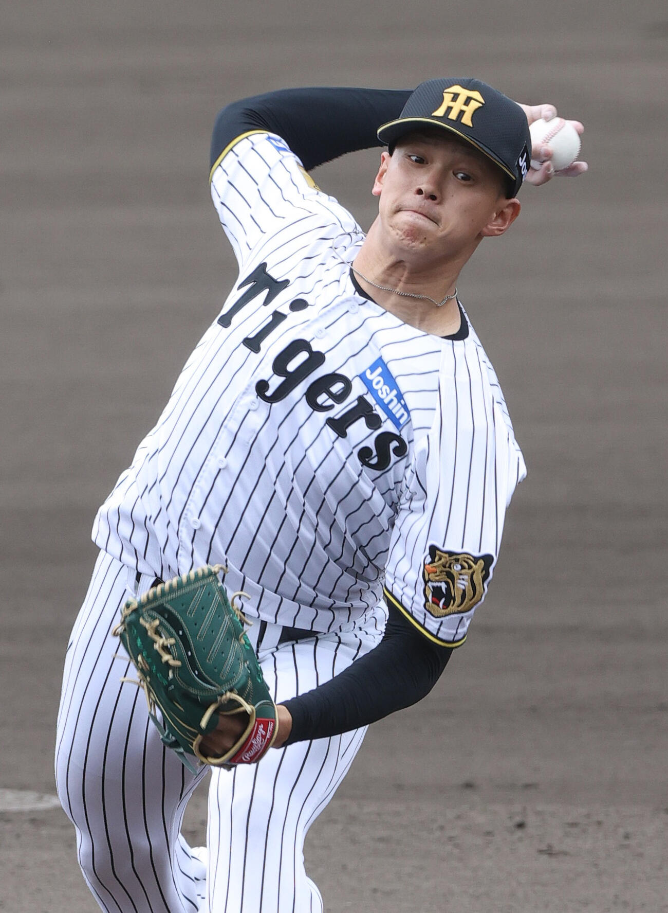 阪神紅白戦　白組先発の能登（撮影・上山淳一）