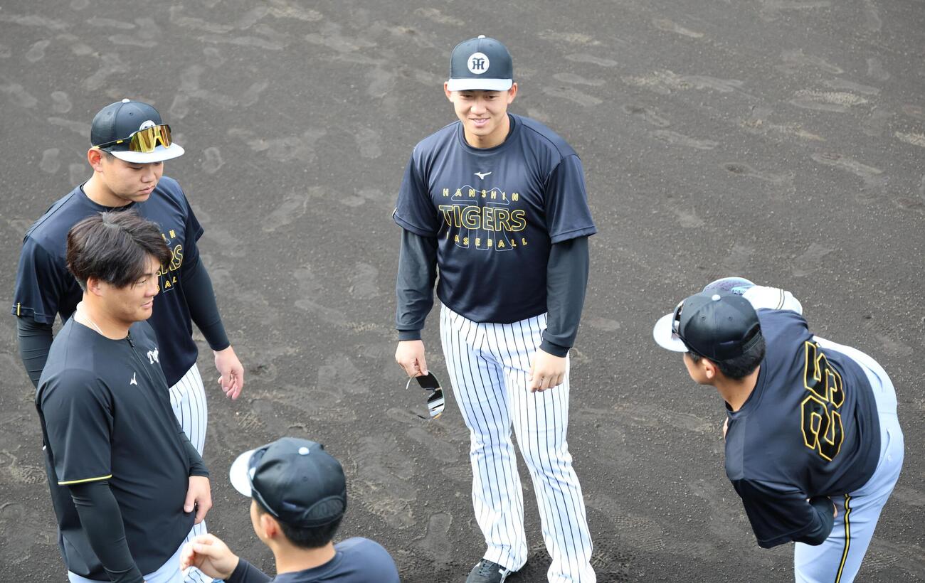 メイングラウンドで谷端（右）、左から前川、嶋村と談笑する阪神立石（撮影・西尾就之）