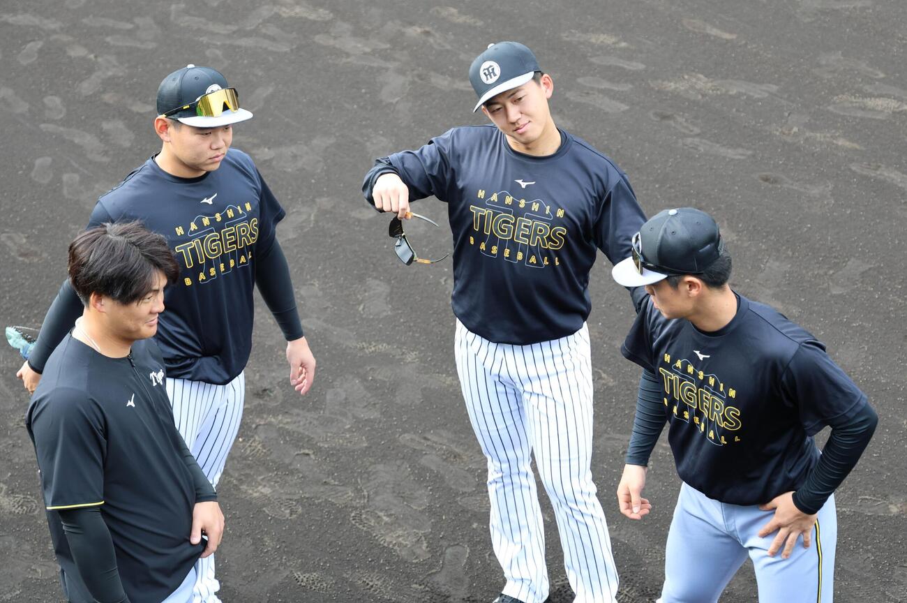 メイングラウンドで谷端（右）、左から前川、嶋村と談笑する阪神立石（撮影・西尾就之）