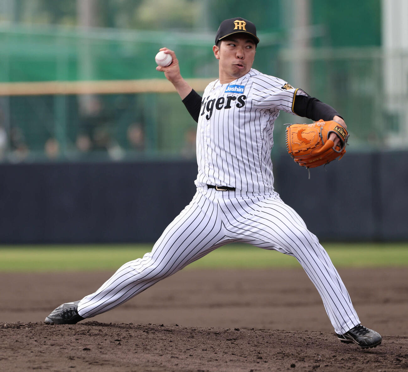 阪神石井大智（2026年2月撮影）
