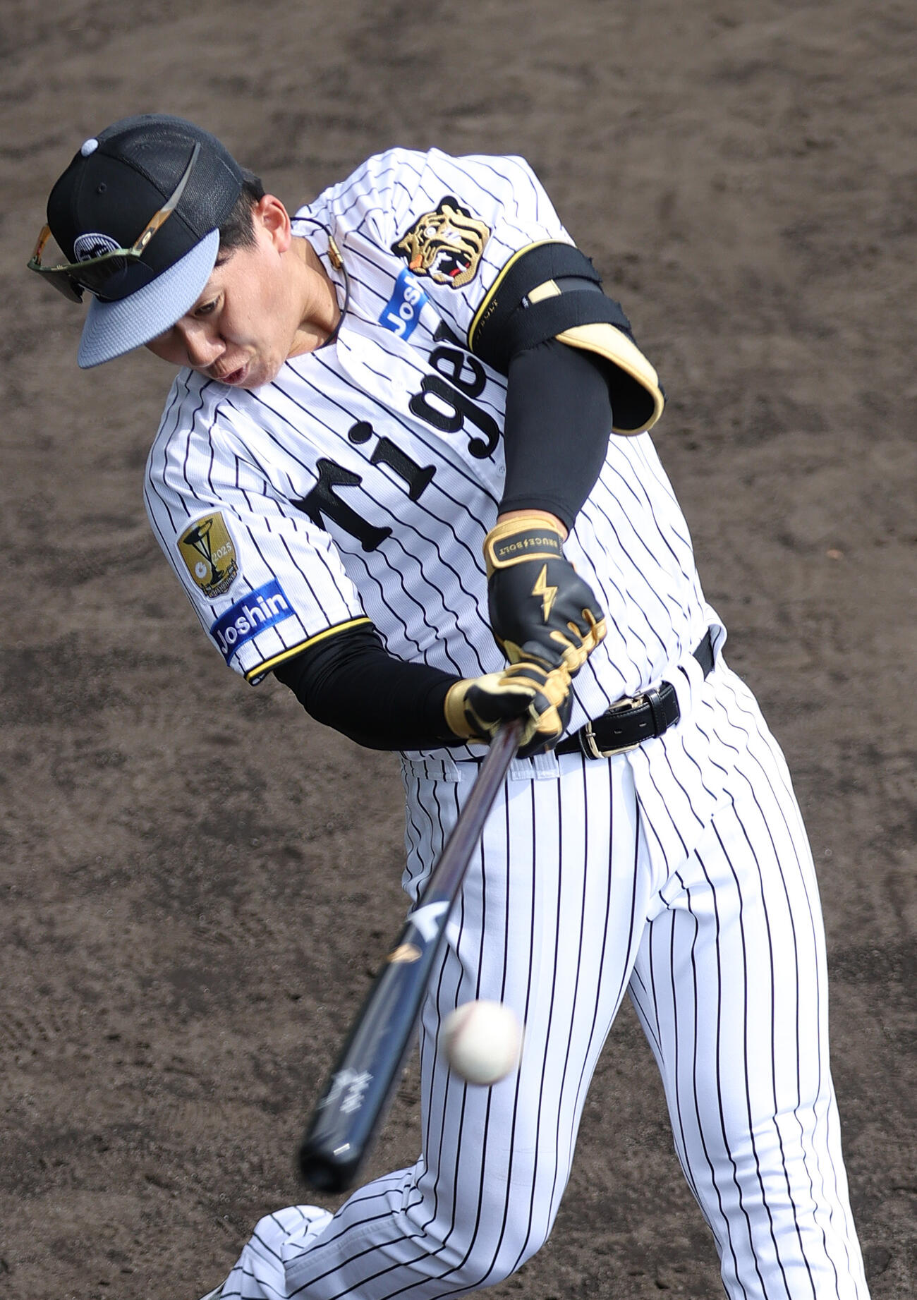 ロング打撃を行う阪神立石（撮影・上山淳一）