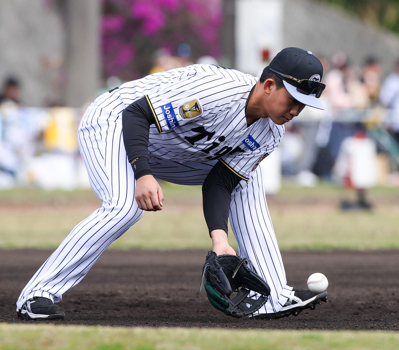 サブグラウンドでノックを受ける阪神立石（撮影・上山淳一）