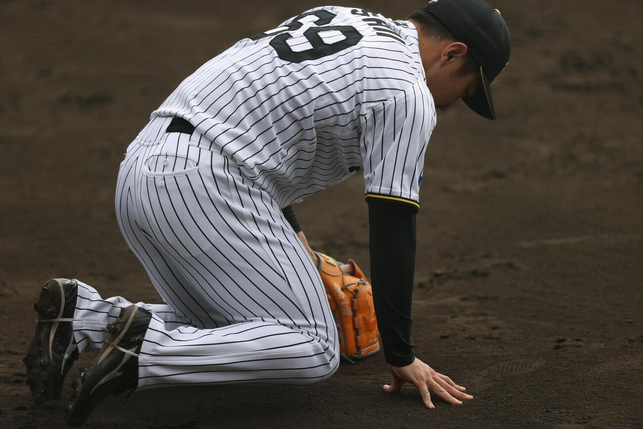 グラウンドに両ひざを立てる阪神石井大智（26年2月11日撮影）