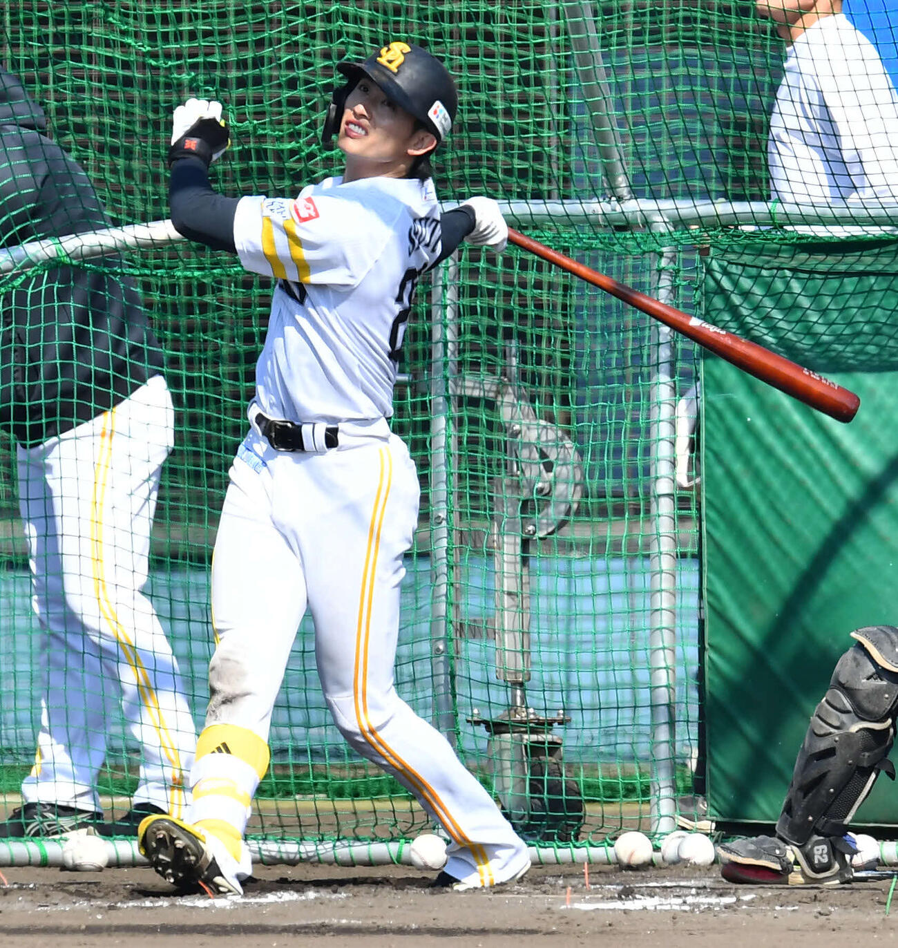 フリー打撃を行うソフトバンク周東（撮影・岩下翔太）