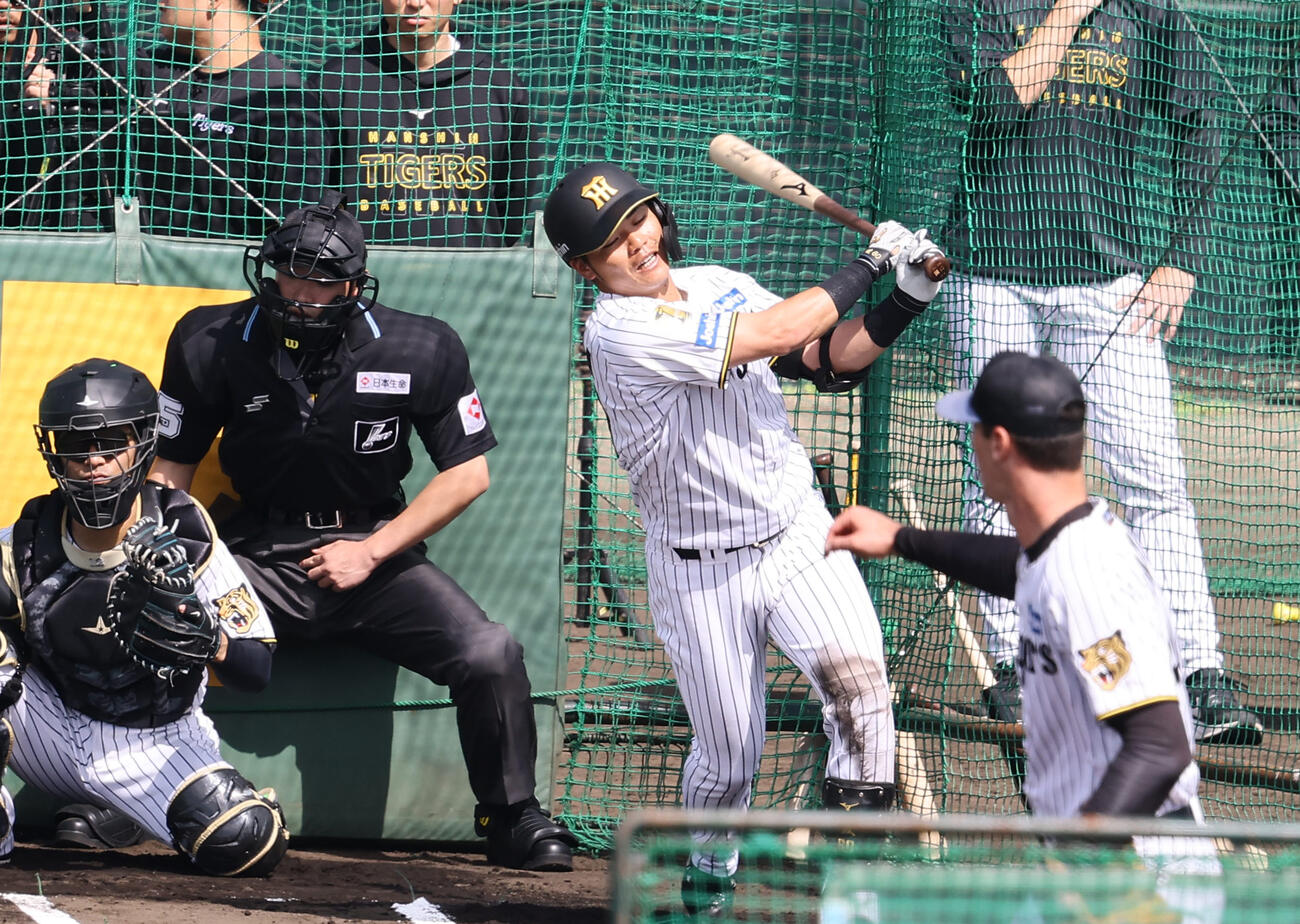 ライブBPで三振に倒れる阪神小野寺。投手はラグズデール（撮影・上田博志）