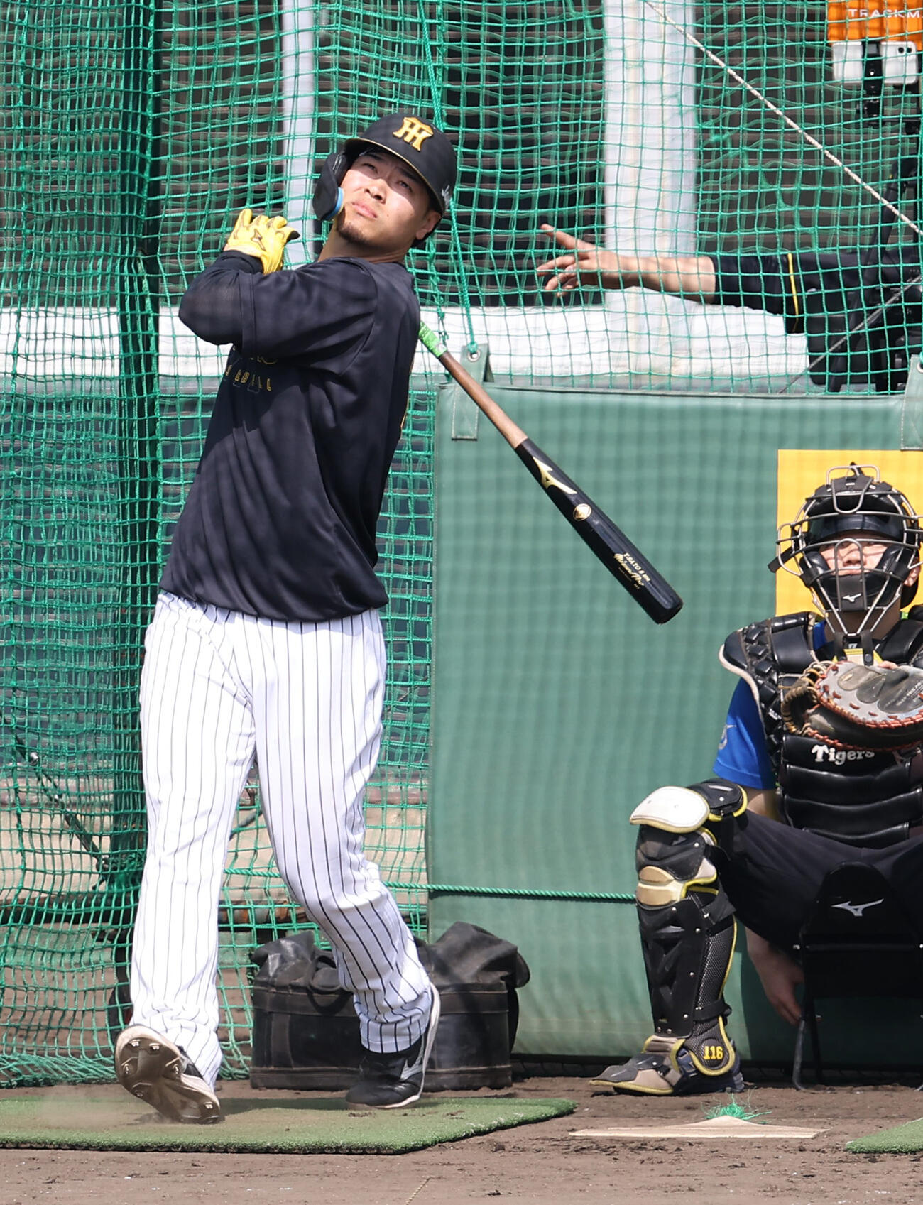 フリー打撃練習で柵越えを連発する佐藤（撮影・上田博志）