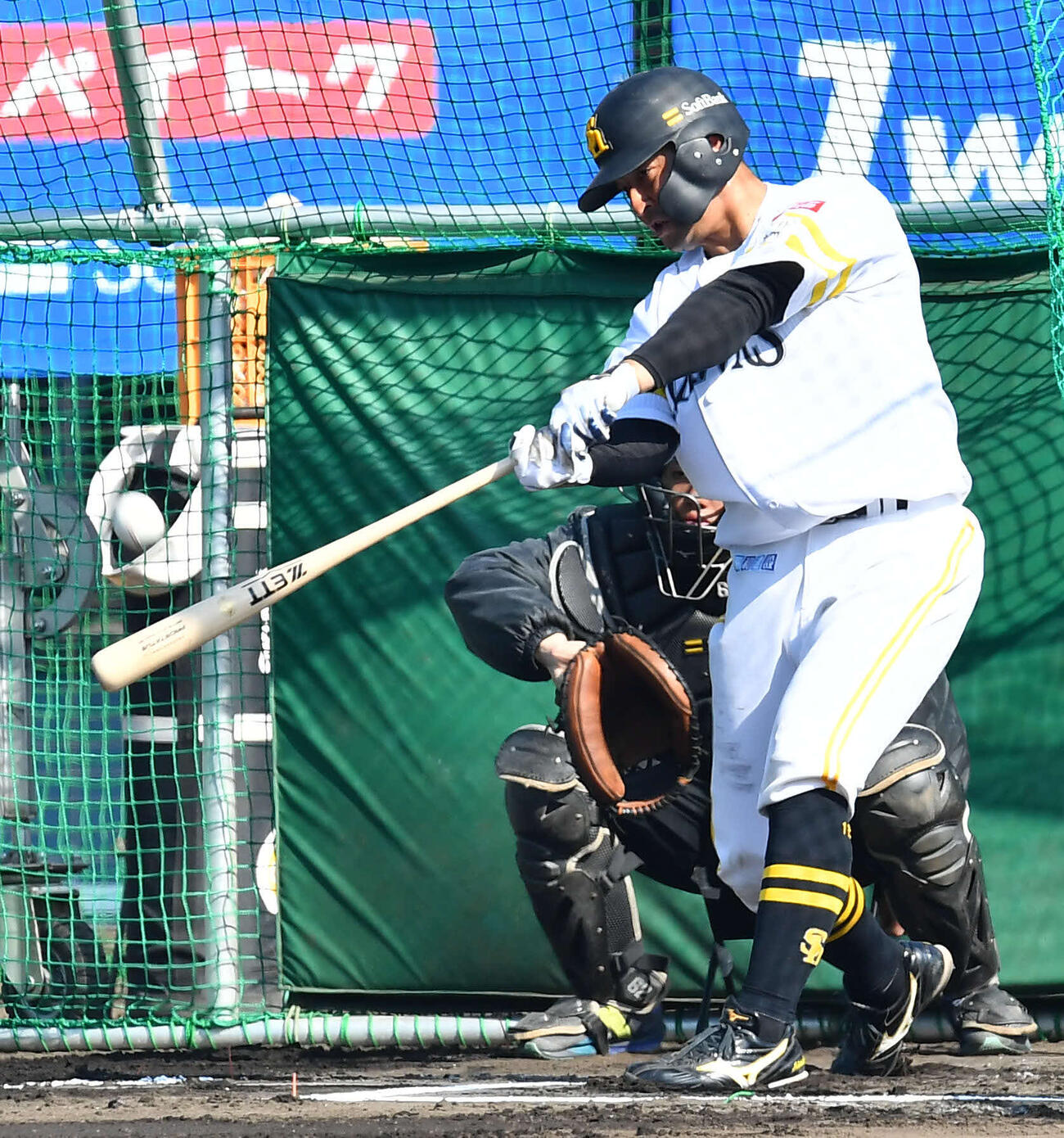 フリー打撃を行うソフトバンク嶺井（撮影・岩下翔太）