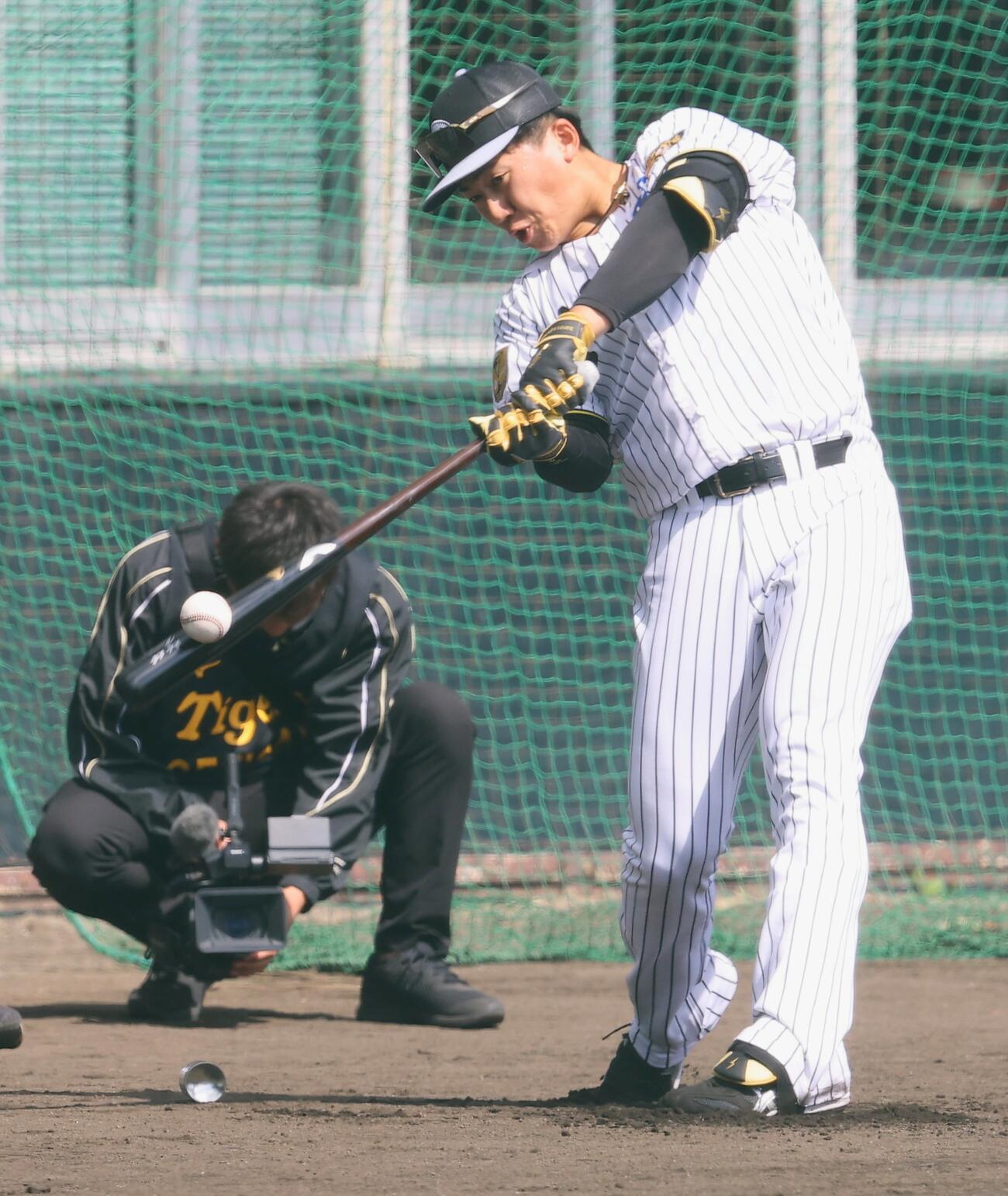 ロング打撃練習をする阪神立石（撮影・上田博志）＝2026年2月12日、バイトするならエントリー宜野座スタジアム