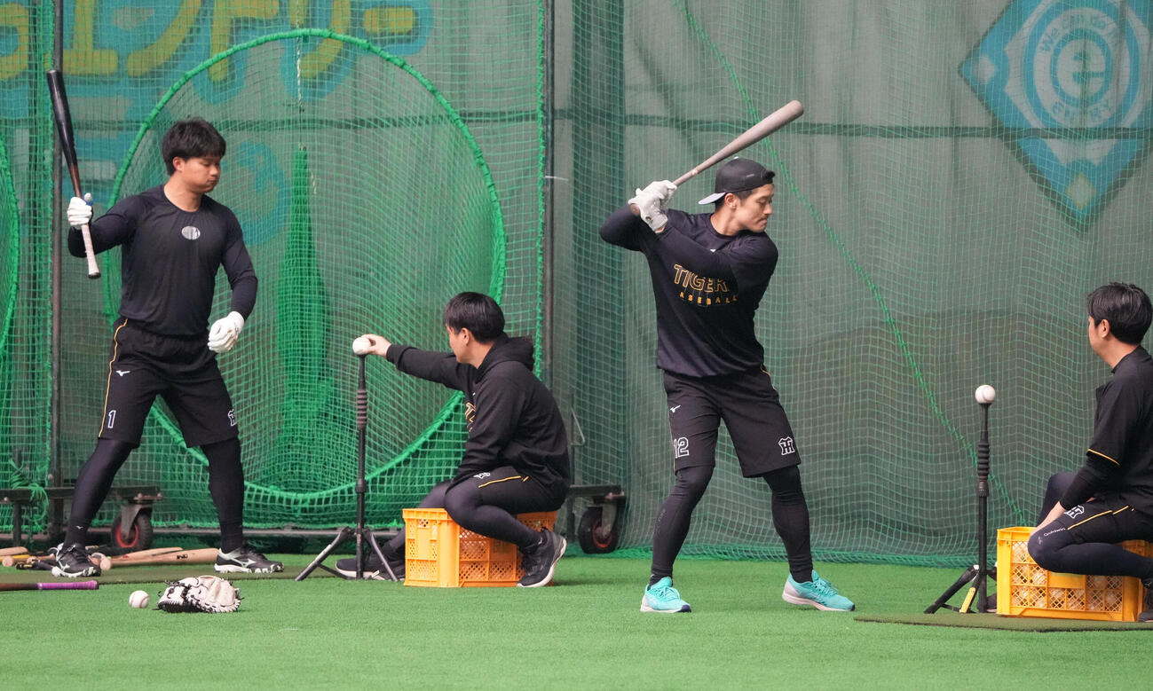 ティー打撃練習をする坂本（右から2人目）左は森下（撮影・森本幸一）