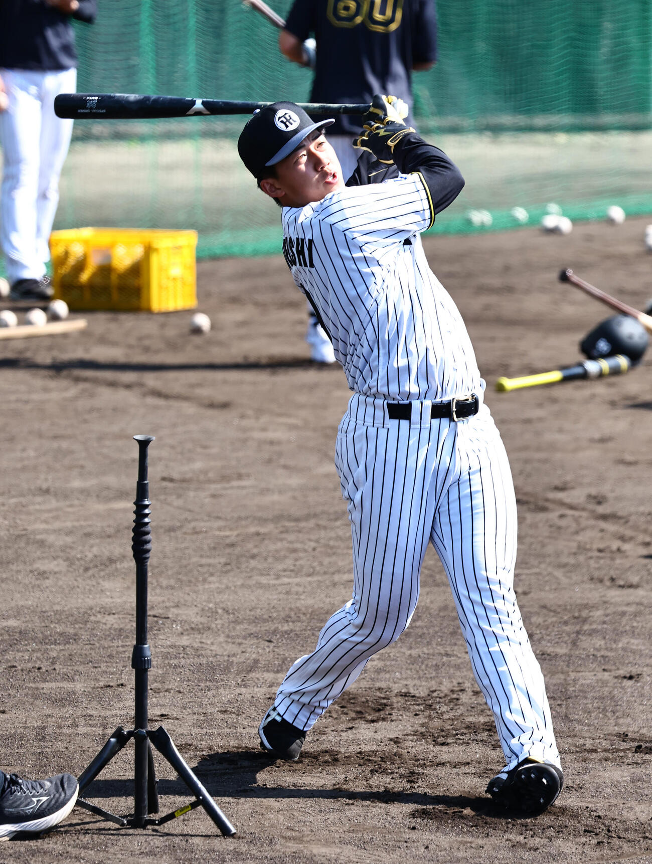 ロング打撃練習をする阪神立石（撮影・上田博志）