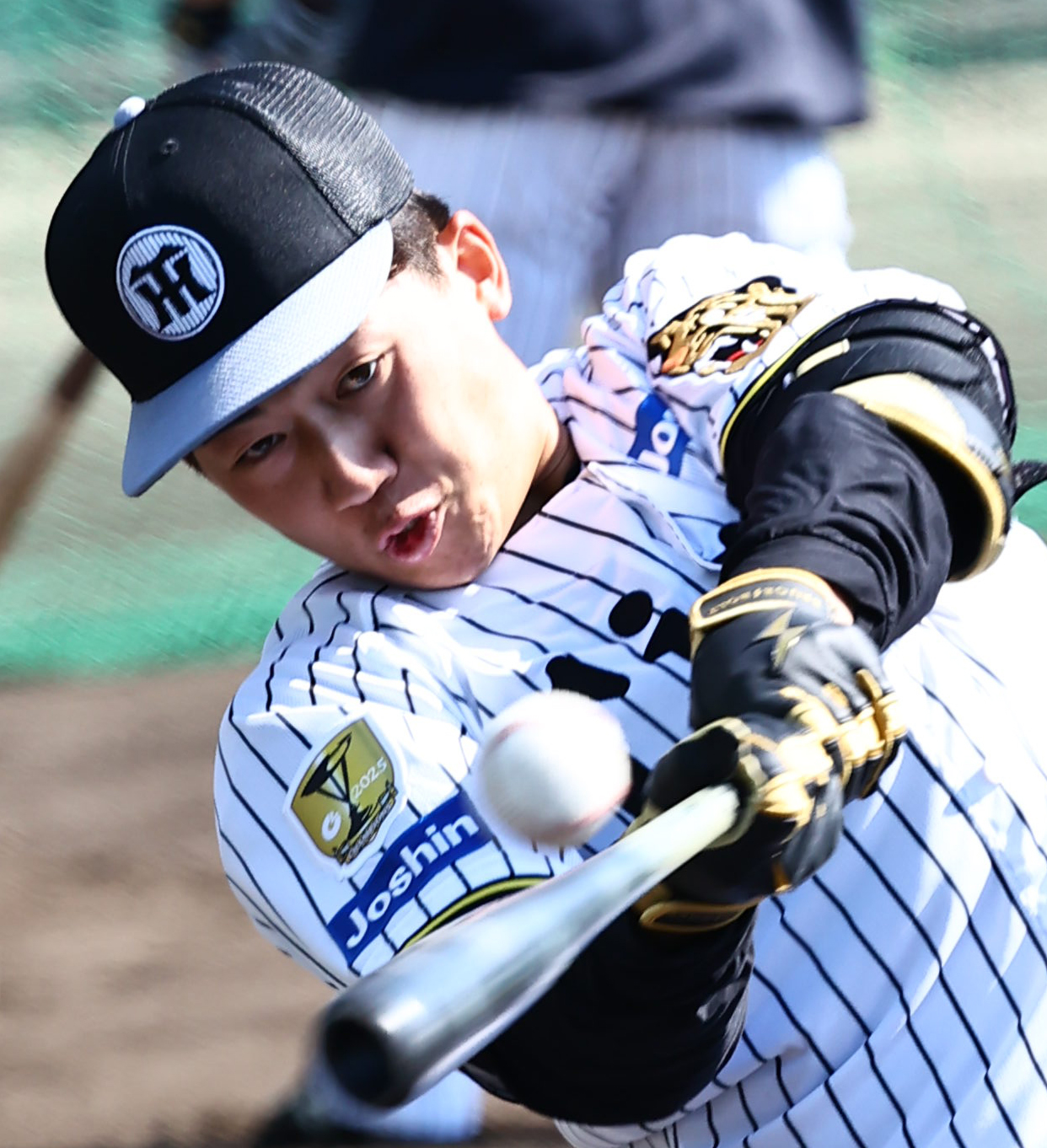 ロング打撃練習をする阪神立石（撮影・上田博志）