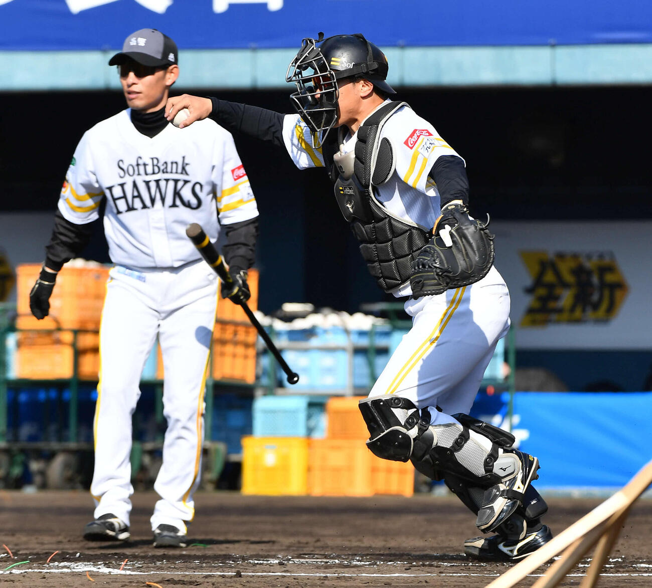 守備練習を行うソフトバンク海野隆司（2026年2月撮影）