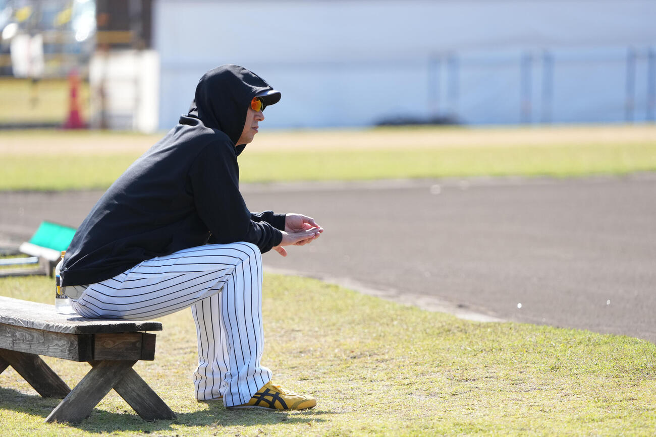 練習を見つめる藤川監督（撮影・森本幸一）