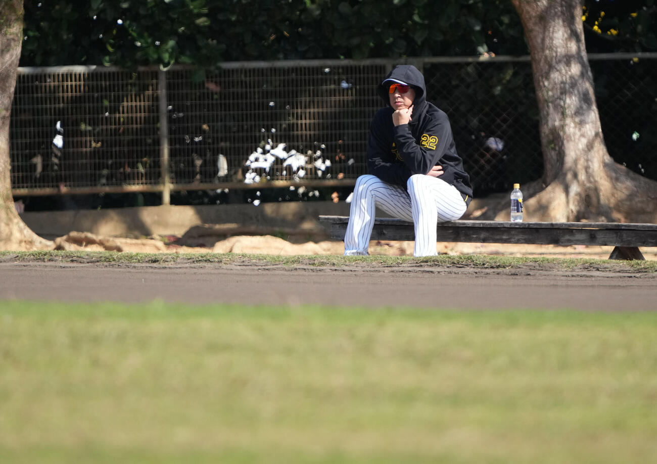 練習を見つめる藤川監督（撮影・森本幸一）