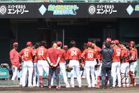 阪神タイガース - プロ野球 : 日刊スポーツ