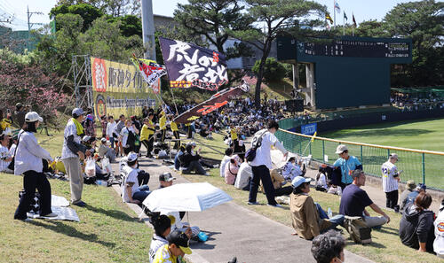 阪神対楽天 レフトスタンドが開放されたバイトするならエントリー宜野座スタジアム(撮影・上田博志)