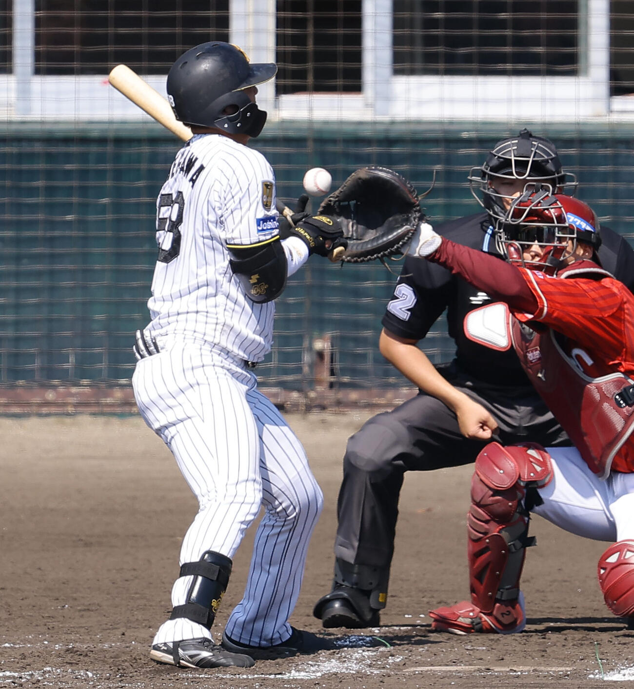 阪神対楽天　3回裏阪神無死、前川は死球を受ける（撮影・上田博志）